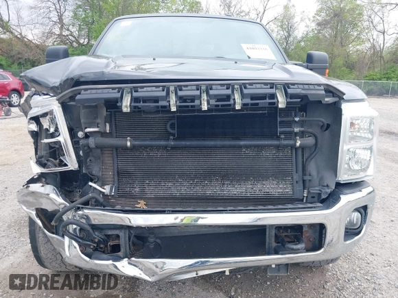 2011 Ford F-250 XL with VIN 1FT7W2BT1BEC61501, listed as a IAAI auction lot 42093335 with 228,014 mi miles and . Bid and sale history available at DreamBid. Image 6.