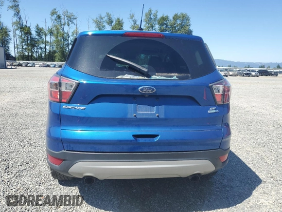 2017 Ford Escape SE z VIN 1FMCU9GD0HUB54075, wystawiony jako Copart lot #60490885 z przebiegiem 121 155 mil mil oraz Czysty tytuł • Clean title. Historia ofert i sprzedaży dostępna na DreamBid. Obrazek 6.