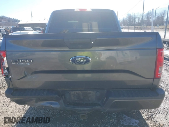 2016 Ford F-150 XL with VIN 1FTEW1CP7GFD11502, listed as a IAAI auction lot 41308646 with 133,998 mi miles and . Bid and sale history available at carsss.com. Image 16.