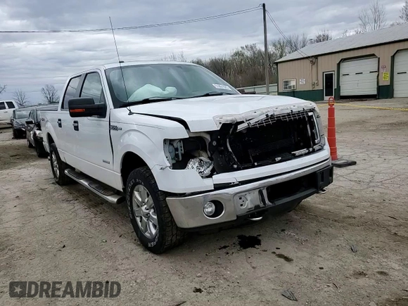 2013 Ford F-150 XL with VIN 1FTFW1ET8DFA58698, listed as a Copart auction lot 51851825 with 160,580 mi miles and Salvage Title. Bid and sale history available at carsss.com. Image 11.