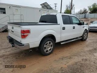 2010 Ford F-150 XL with VIN 1FTFW1CVXAFC29578, listed as a Copart auction lot 50214125 with 203,410 mi miles and Salvage Title. Bid and sale history available at carsss.com. Image 3.