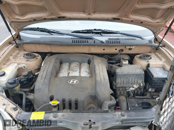 2003 Hyundai Santa Fe GLS with VIN KM8SC73D63U350345, listed as a IAAI auction lot 41841877 with 109,764 mi miles. Bid and sale history available at carsss.com. Image 10.