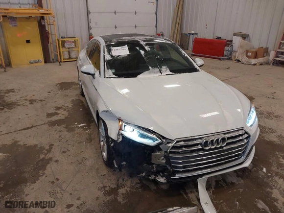 2019 Audi A5 Sportback Premium Plus with VIN WAUENCF58KA044074, listed as a IAAI auction lot 41300962 with 45,001 mi miles. Bid and sale history available at carsss.com. Image 6.