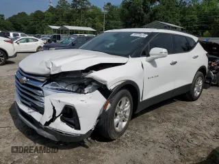 2019 Chevrolet Blazer with VIN 3GNKBBRAXKS668840, listed as a Copart auction lot 58224615 with 57,556 mi miles and Salvage title. Bid and sale history available at DreamBid. Image 1.