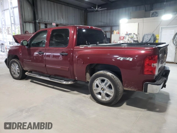 2013 Chevrolet Silverado 1500 LT with VIN 3GCPKSE74DG375997, listed as a Copart auction lot 53350625 with Not Provided miles and Salvage Title. Bid and sale history available at DreamBid. Image 2.