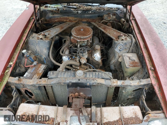 1971 Ford Mustang z VIN 1F01L171292, wystawiony jako Copart lot #64082595 z przebiegiem 8 812 mil mil oraz Czysty tytuł • Clean title. Historia ofert i sprzedaży dostępna na DreamBid. Obrazek 11.