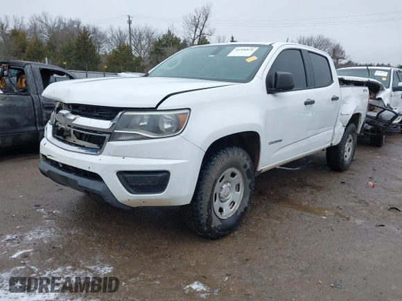 2016 Chevrolet Colorado 4WD WT with VIN 1GCGTBE34G1330488, listed as a IAAI auction lot 41500876 with 209,598 mi miles. Bid and sale history available at carsss.com. Image 17.
