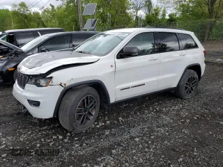 2019 Jeep Grand Cherokee Trailhawk with VIN 1C4RJFLT9KC645955, listed as a Copart auction lot 54549864 with 45,188 mi miles and . Bid and sale history available at DreamBid. Image 1.