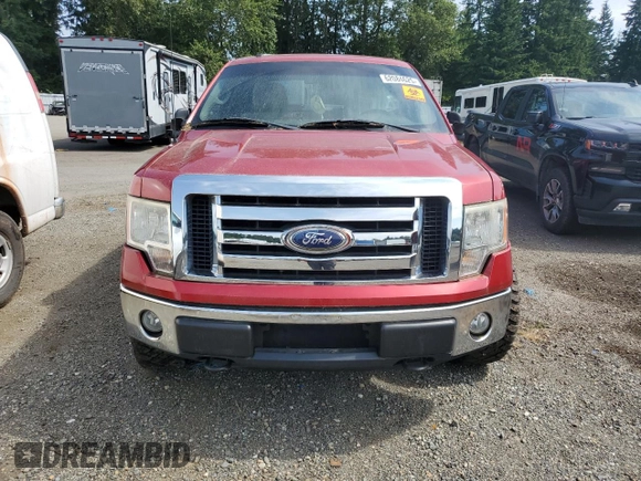 2010 Ford F-150 XL with VIN 1FTEX1E8XAFC24431, listed as a Copart auction lot 62084625 with 155,985 mi miles and Clean title. Bid and sale history available at DreamBid. Image 5.