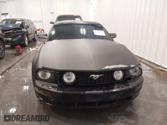 2006 Ford Mustang Standard with VIN 1ZVHT84N365266135, listed as a IAAI auction lot 41751256 with 135,621 mi miles and . Bid and sale history available at carsss.com. Image 12.
