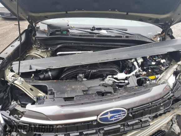 2025 Subaru Forester Premium with VIN JF2SLDDCXSH537993, listed as a Copart auction lot 59089995 with Not provided miles and Salvage title. Bid and sale history available at DreamBid. Image 12.