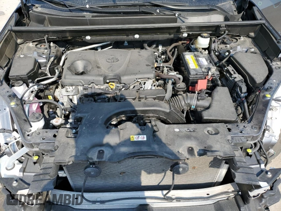2019 Toyota RAV4 XLE Premium with VIN JTMA1RFV7KD026132, listed as a Copart auction lot 48594395 with 34,671 mi miles and Salvage Title. Bid and sale history available at carsss.com. Image 12.