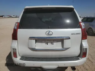 2011 Lexus GX 460 with VIN JTJBM7FX2B5019551, listed as a Copart auction lot 48359495 with 177,022 mi miles and Salvage Title. Bid and sale history available at DreamBid. Image 6.