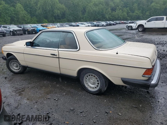 1979 Mercedes-Benz C with VIN 12315012003001, listed as a Copart auction lot 57227575 with 112,248 mi miles and Non repairable. Bid and sale history available at DreamBid. Image 2.