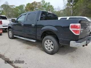 2010 Ford F-150 XL with VIN 1FTEW1C88AFC56624, listed as a Copart auction lot 50648135 with 228,961 mi miles and Salvage Title. Bid and sale history available at carsss.com. Image 2.