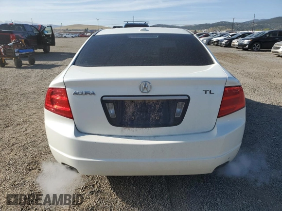2005 Acura TL with VIN 19UUA66295A039005, listed as a Copart auction lot 53960645 with 290,175 mi miles and Clean Title. Bid and sale history available at carsss.com. Image 6.