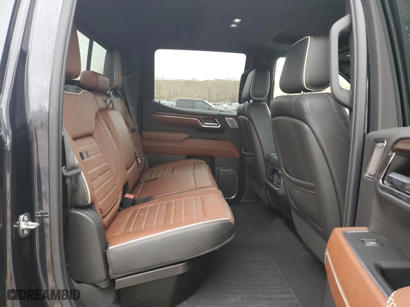 2023 GMC Sierra 1500 Denali Ultimate with VIN 1GTUUHEL3PZ281854, listed as a Copart auction lot 49105375 with 41,326 mi miles and Salvage Title. Bid and sale history available at carsss.com. Image 10.