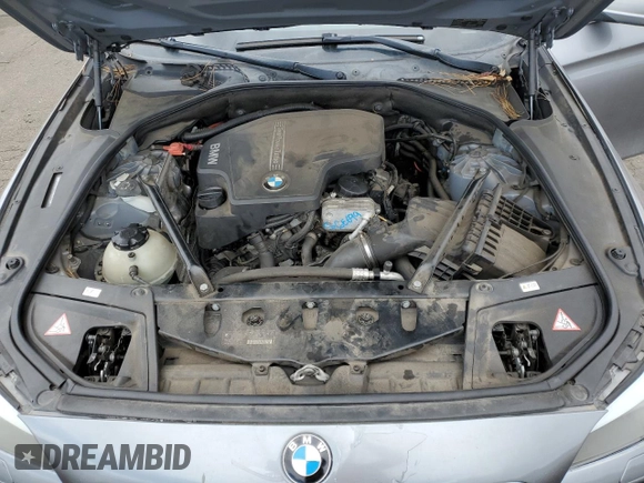 2013 BMW 5 Series 528i xDrive with VIN WBAXH5C53DDW15133, listed as a Copart auction lot 49811025 with 114,039 mi miles and Salvage Title. Bid and sale history available at carsss.com. Image 11.