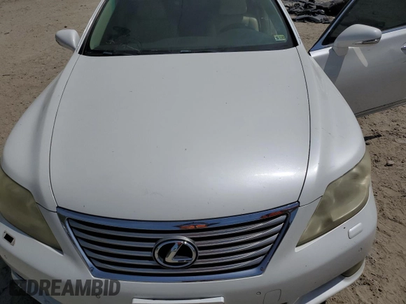 2010 Lexus LS 460 with VIN JTHBL5EF6A5099663, listed as a Copart auction lot 53441535 with Not provided miles and Salvage title. Bid and sale history available at DreamBid. Image 11.