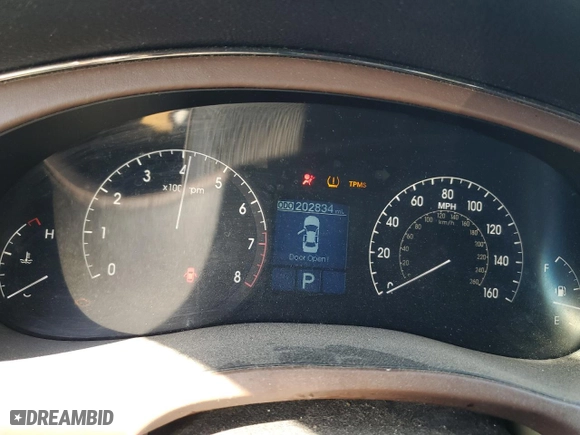 2009 Hyundai Genesis with VIN KMHGC46E09U027023, listed as a Copart auction lot 48718875 with 202,834 mi miles and Salvage Title. Bid and sale history available at carsss.com. Image 9.