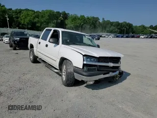 2005 Chevrolet Silverado 1500 LS with VIN 2GCEC13T851135604, listed as a Copart auction lot 59295325 with Not provided miles and Salvage title. Bid and sale history available at DreamBid. Image 13.