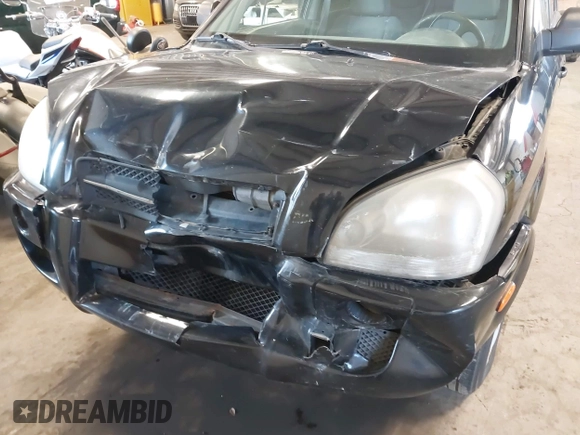 2006 Hyundai Tucson GL with VIN KM8JM12B96U252484, listed as a IAAI auction lot 42100855 with 273,655 mi miles. Bid and sale history available at carsss.com. Image 6.