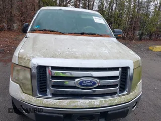2010 Ford F-150 XL with VIN 1FTEX1E85AKC18141, listed as a IAAI auction lot 41948061 with 188,422 mi miles. Bid and sale history available at carsss.com. Image 12.