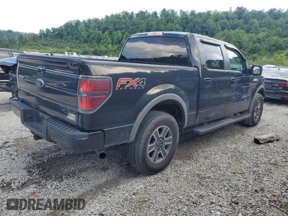 2013 Ford F-150 XL with VIN 1FTFW1EF5DKD04673, listed as a Copart auction lot 60316705 with 308,347 mi miles and Salvage title. Bid and sale history available at DreamBid. Image 3.