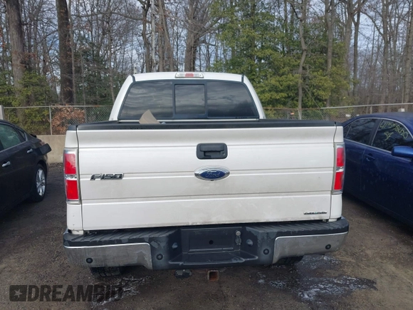 2010 Ford F-150 XL with VIN 1FTFW1EV4AFB50873, listed as a IAAI auction lot 41554001 with 187,415 mi miles. Bid and sale history available at carsss.com. Image 17.
