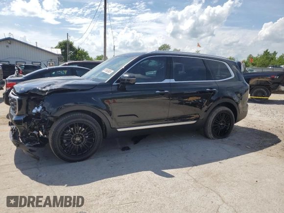 2024 Kia Telluride SX Prestige X-Pro with VIN 5XYP5DGC6RG531640, listed as a Copart auction lot 61953805 with 12,889 mi miles and Salvage title. Bid and sale history available at DreamBid. Image 1.