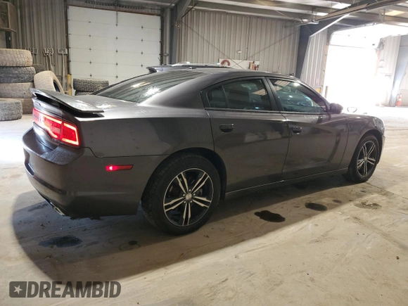 2014 Dodge Charger SXT Plus with VIN 2C3CDXJG3EH372512, listed as a Copart auction lot 74448434 with 99,046 mi miles and Salvage Title. Bid and sale history available at carsss.com. Image 3.
