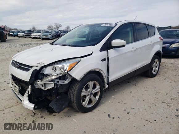 2014 Ford Escape SE with VIN 1FMCU9GX9EUE31649, listed as a Copart auction lot 53612065 with 57,162 mi miles and Clean title. Bid and sale history available at DreamBid. Image 1.