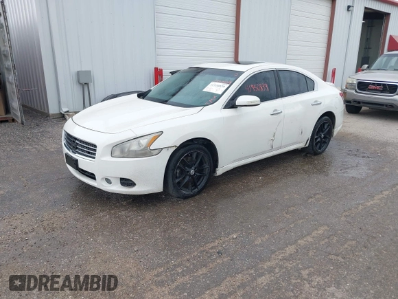 2010 Nissan Maxima 3.5 SV with VIN 1N4AA5AP4AC823319, listed as a IAAI auction lot 41950839 with 143,848 mi miles. Bid and sale history available at carsss.com. Image 2.