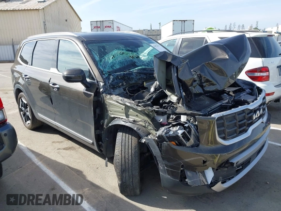 2023 Kia Telluride S with VIN 5XYP6DGC0PG334800, listed as a IAAI auction lot 42078611 with 27,486 mi miles and . Bid and sale history available at DreamBid. Image 13.