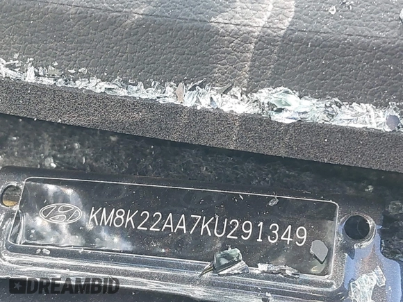 2019 Hyundai Kona SEL with VIN KM8K22AA7KU291349, listed as a IAAI auction lot 41466711 with Not Provided miles and . Bid and sale history available at DreamBid. Image 9.