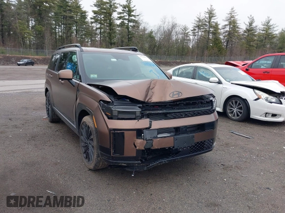 2024 Hyundai Santa Fe Calligraphy with VIN 5NMP5DGL7RH039138, listed as a IAAI auction lot 41940615 with 2,605 mi miles and . Bid and sale history available at DreamBid. Image 6.