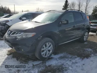 2013 Nissan Murano S z VIN JN8AZ1MW9DW315966, wystawiony jako Copart lot #42313825 z przebiegiem 208 512 mil mil oraz Czysty tytuł • Clean title. Historia ofert i sprzedaży dostępna na DreamBid. Obrazek 1.