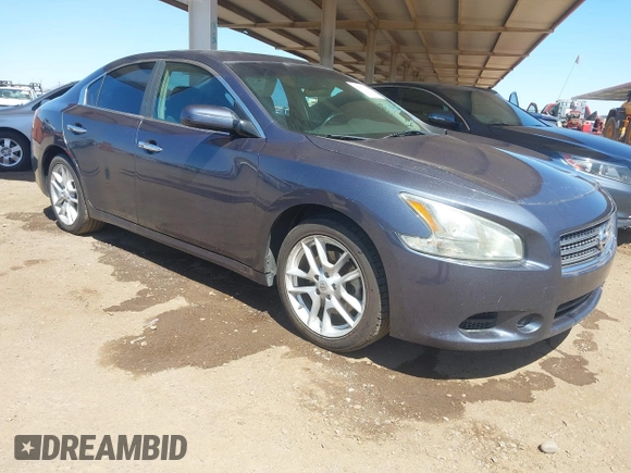 2011 Nissan Maxima SV with VIN 1N4AA5AP7BC836664, listed as a IAAI auction lot 42087993 with 117,328 mi miles and . Bid and sale history available at DreamBid. Image 1.