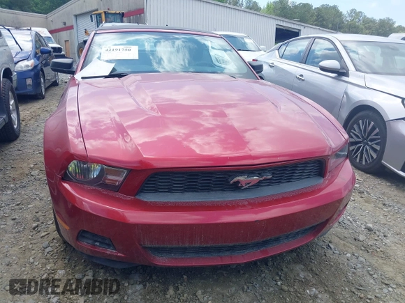 2010 Ford Mustang V6 with VIN 1ZVBP8EN4A5175330, listed as a IAAI auction lot 42191750 with 111,339 mi miles and . Bid and sale history available at carsss.com. Image 6.
