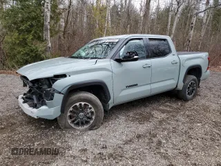 2022 Toyota Tundra SR5 with VIN 5TFLA5DBXNX010794, listed as a Copart auction lot 80695864 with 58,872 mi miles and Salvage title. Bid and sale history available at DreamBid. Image 1.