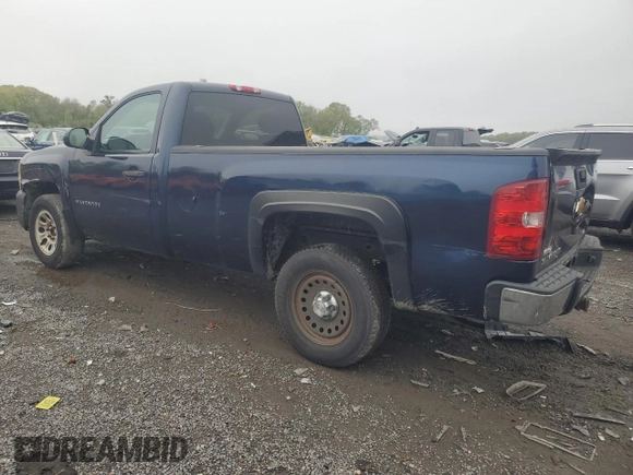 2012 Chevrolet Silverado 1500 Work Truck with VIN 1GCNCPEXXCZ102692, listed as a Copart auction lot 54326055 with 110,341 mi miles and Clean Title. Bid and sale history available at DreamBid. Image 2.