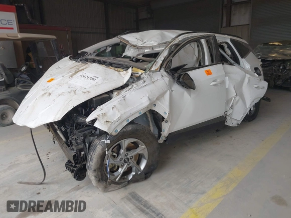 2024 Hyundai Tucson SEL with VIN 5NMJB3DE9RH316645, listed as a IAAI auction lot 41624789 with Not Provided miles and . Bid and sale history available at DreamBid. Image 2.