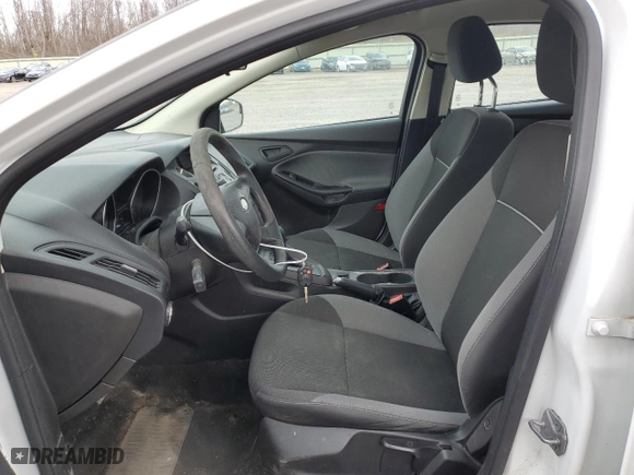 2014 Ford Focus S with VIN 1FADP3E26EL114475, listed as a Copart auction lot 49766905 with NaN miles and Salvage Title. Bid and sale history available at carsss.com. Image 7.