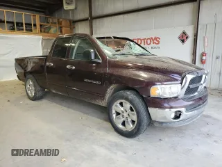 2004 Dodge 1500 SLT with VIN 1D7HA18N94S705188, listed as a Copart auction lot 49967065 with 263,022 mi miles and Salvage Title. Bid and sale history available at DreamBid. Image 4.
