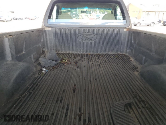 2002 Ford F-150 XL with VIN 1FTRF17W62NB40159, listed as a Copart auction lot 49010765 with 166,719 mi miles and Salvage Title. Bid and sale history available at carsss.com. Image 10.