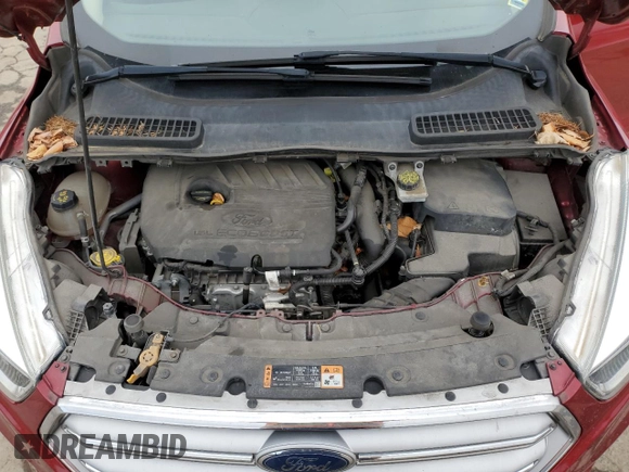 2017 Ford Escape SE with VIN 1FMCU0GD4HUA35103, listed as a Copart auction lot 50725215 with 123,937 mi miles and Salvage Title. Bid and sale history available at carsss.com. Image 12.