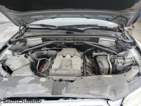 2014 Audi Q5 with VIN WA1DGCFP3EA042581, listed as a Copart auction lot 50334365 with 271,793 mi miles and Salvage title. Bid and sale history available at DreamBid. Image 11.