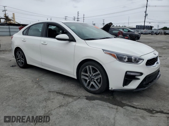 2019 Kia Forte S with VIN 3KPF34AD2KE070085, listed as a Copart auction lot 48331915 with 66,648 mi miles and Salvage Title. Bid and sale history available at carsss.com. Image 4.