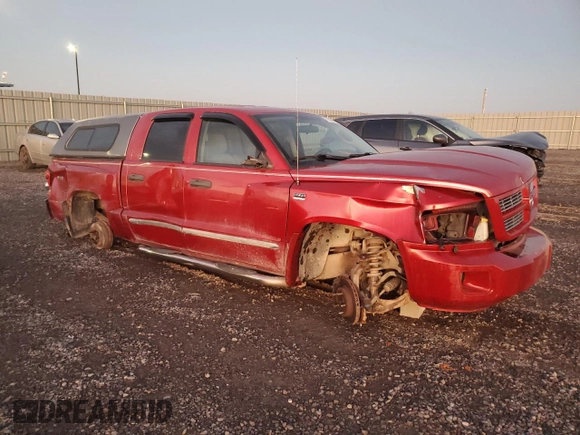2010 Dodge Dakota SXT with VIN 1D7CW3GP5AS132893, listed as a Copart auction lot 81502524 with 256,032 mi miles and Clean Title. Bid and sale history available at carsss.com. Image 4.
