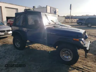 1994 Jeep Wrangler S with VIN 1J4FY19PXRP404320, listed as a Copart auction lot 85633464 with 130,824 mi miles and Salvage Title. Bid and sale history available at carsss.com. Image 4.